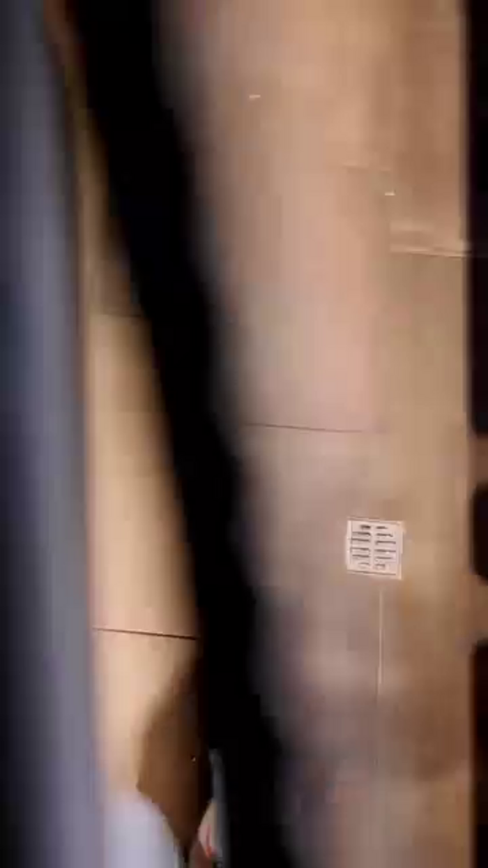 bunny_vic