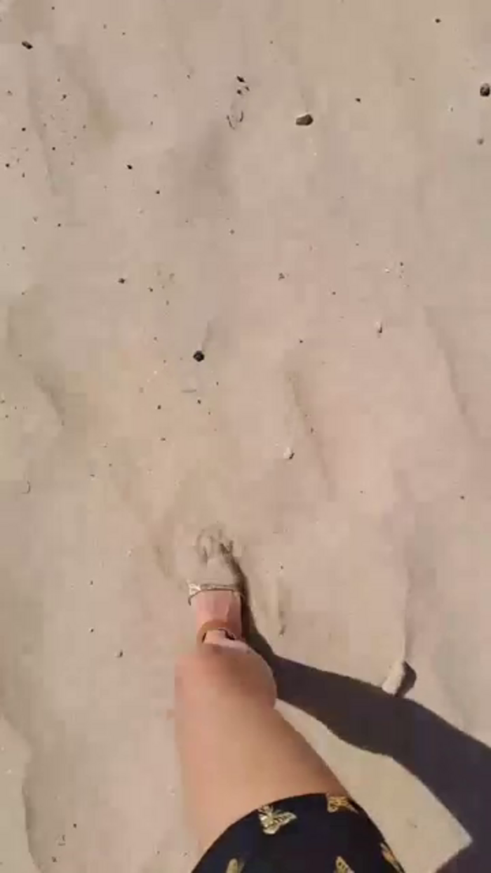 Lobitaysupollon