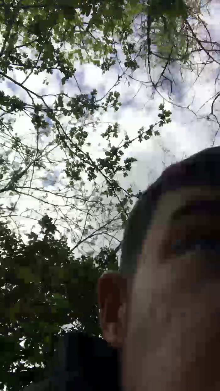 Qntin45
