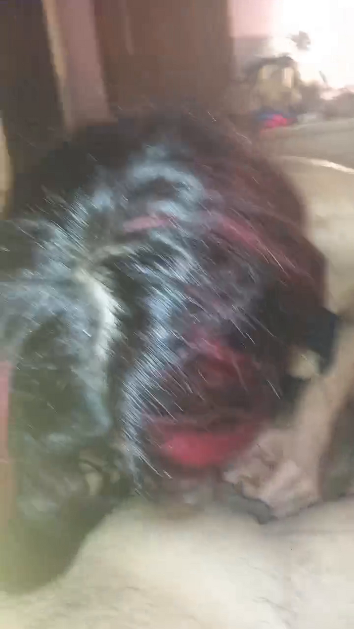 Ciccinamei88