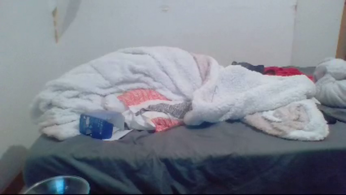 Alexia_cs