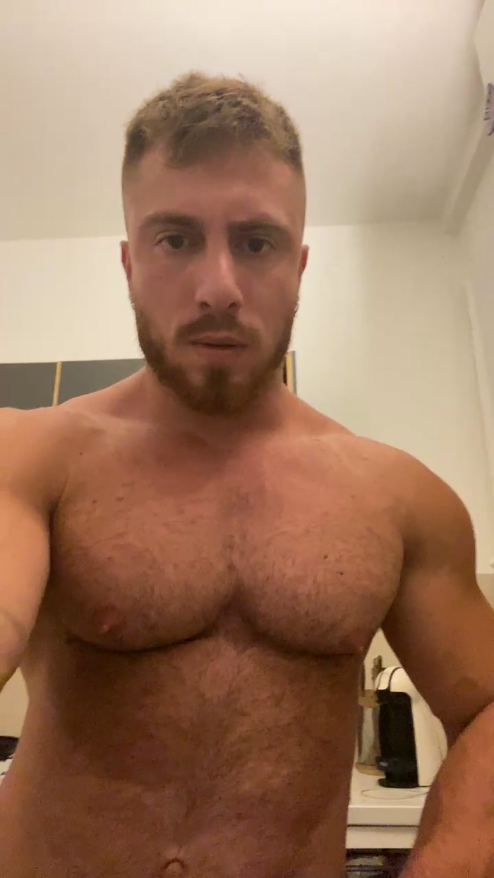 Bigwhitebull