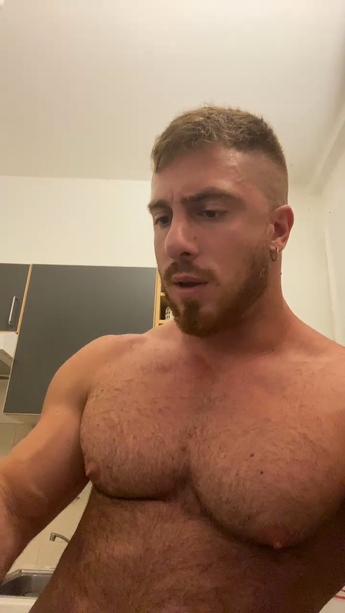 Bigwhitebull