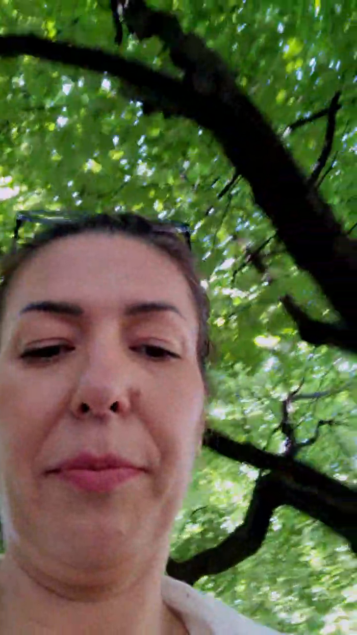eveangelll