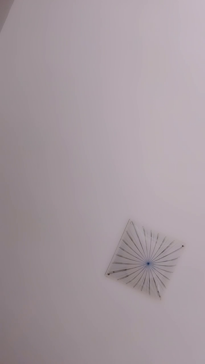 Akemy_room