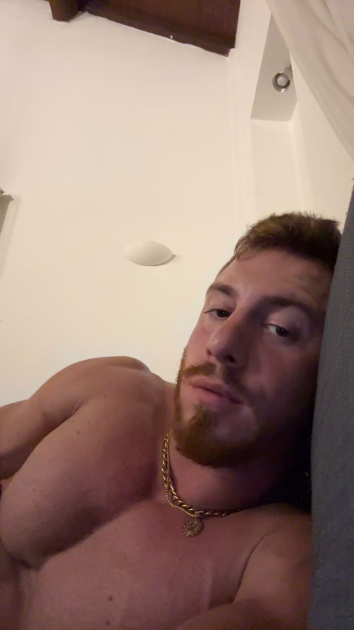 Bigwhitebull