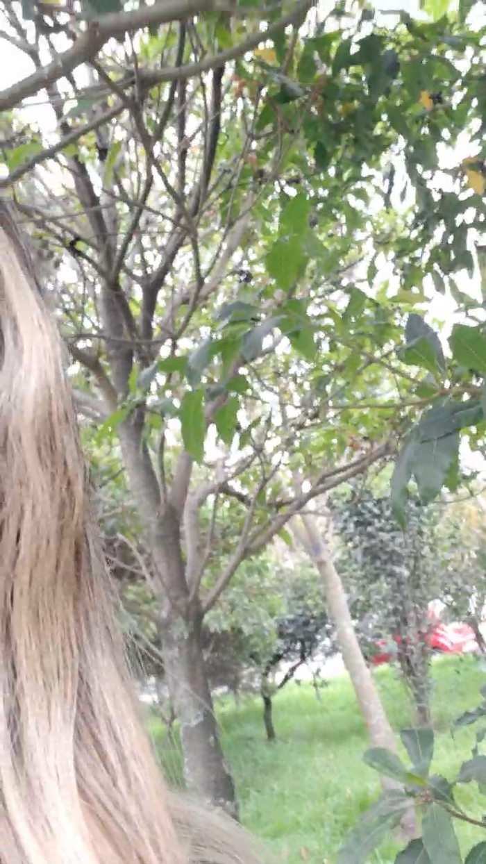 Tania__honey