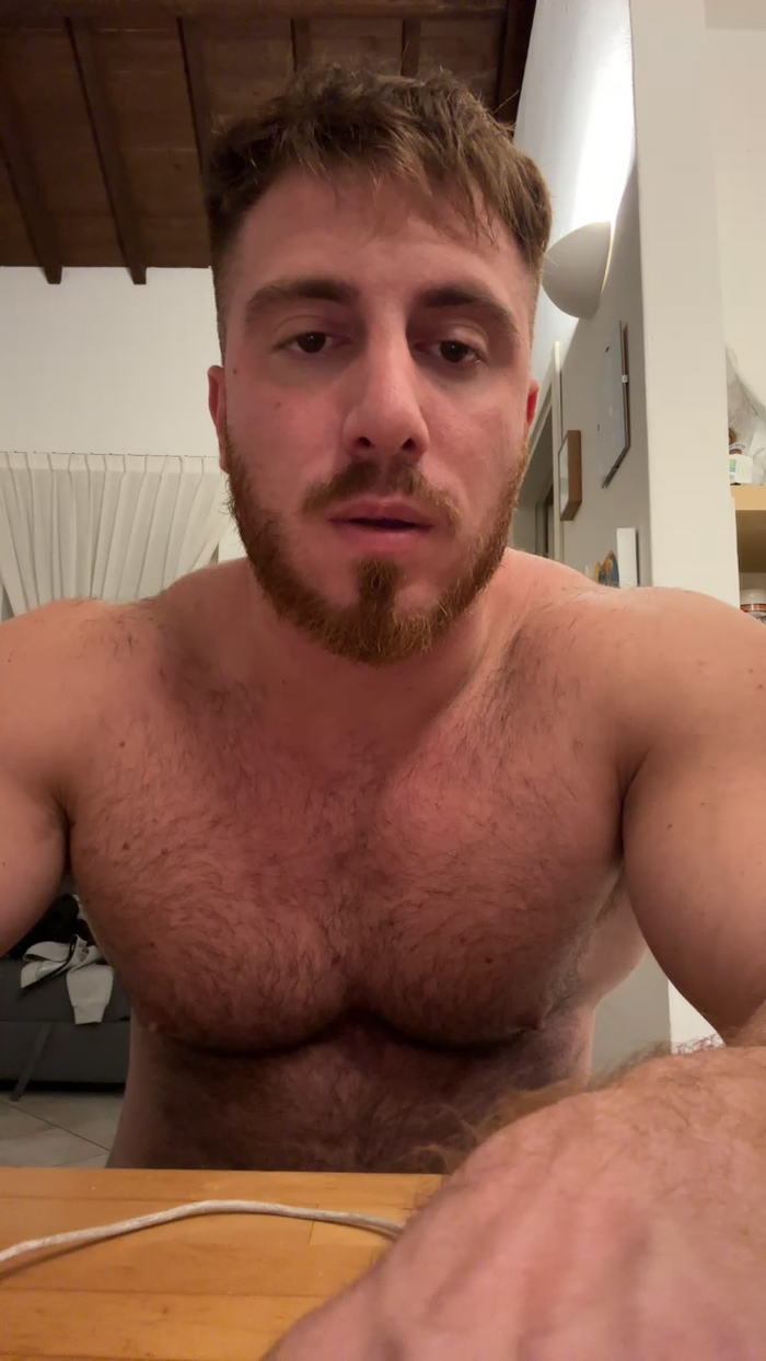 Bigwhitebull