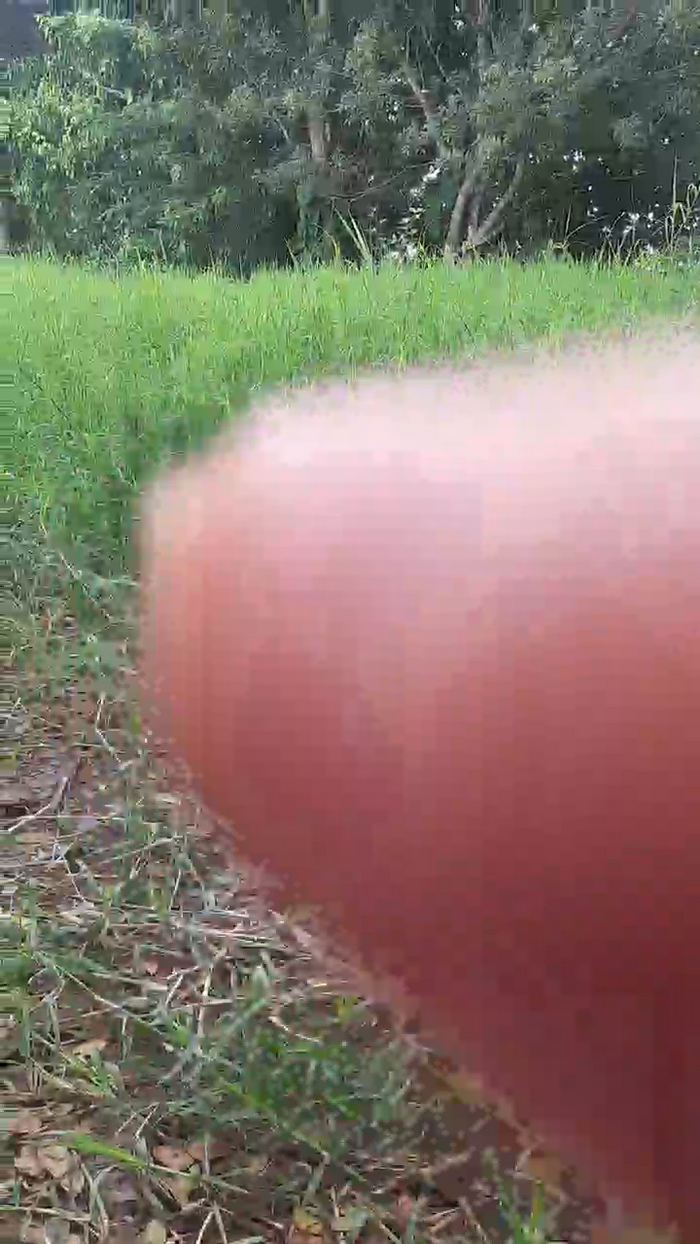 Tania__honey