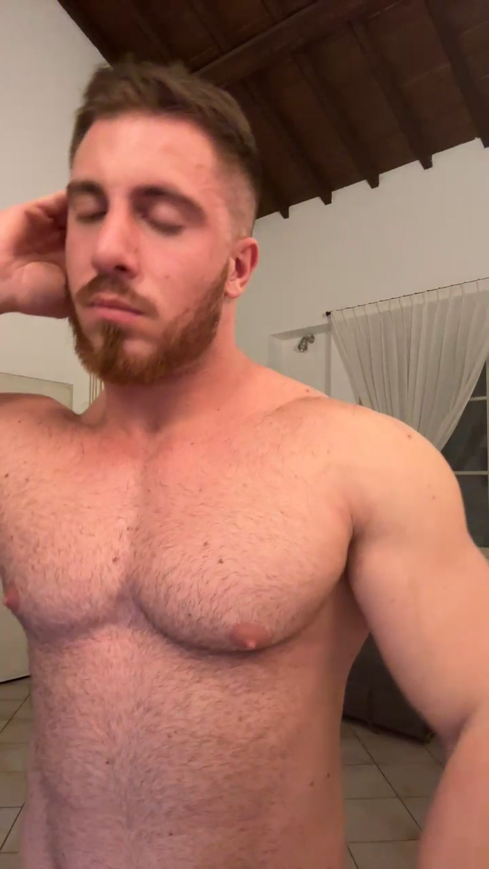 Bigwhitebull