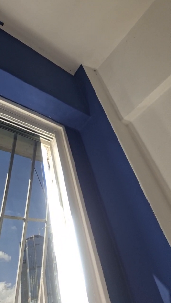 jenna36