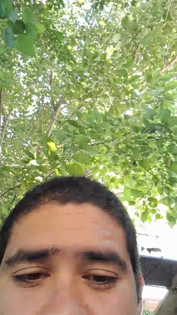 Eli_roman06