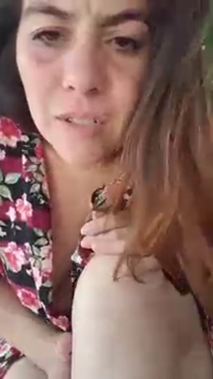 Eli_roman06