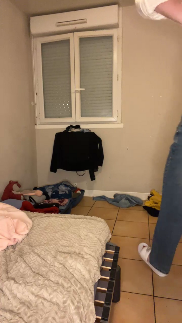 Mimidreve_