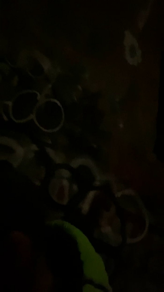 darksecret_Lar