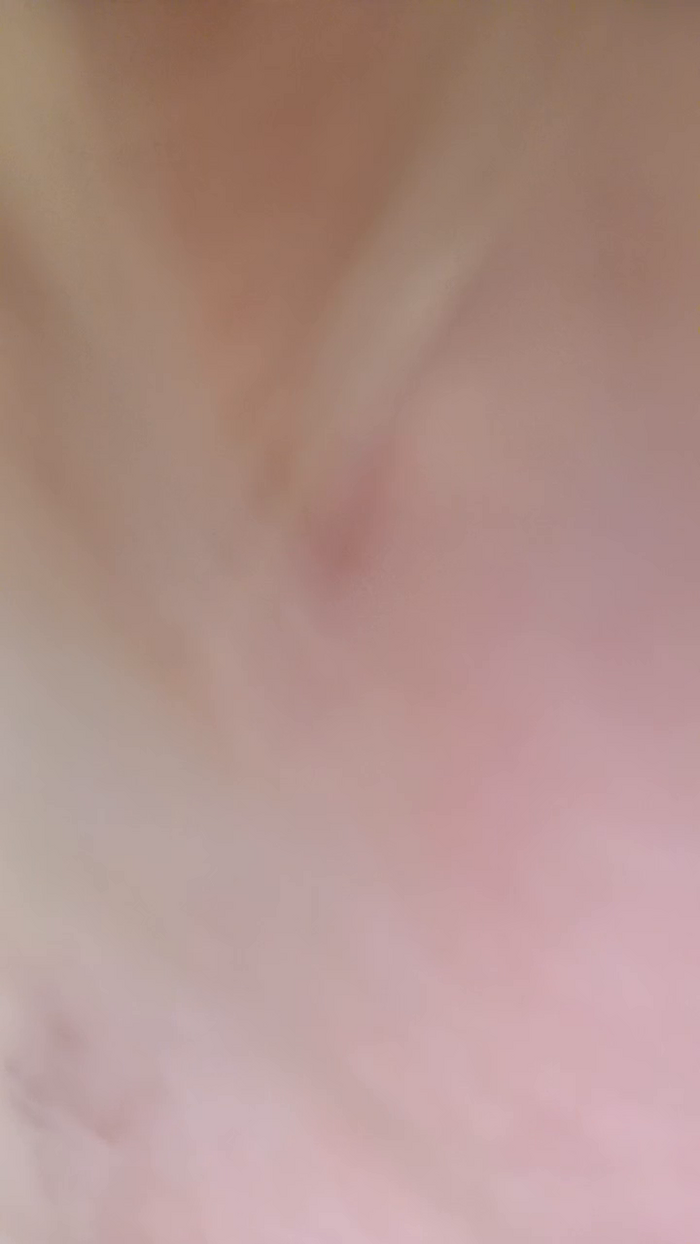 baby_cattt7