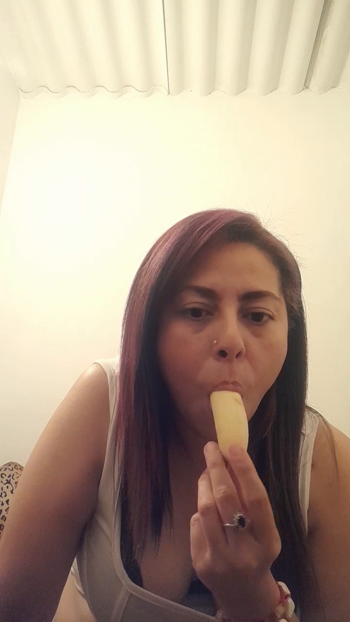 Gatitaardiente0