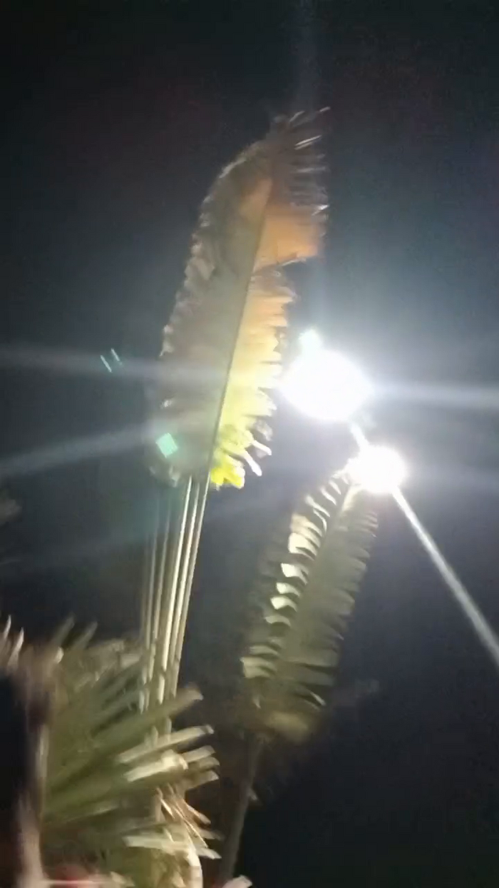 BlackCockBig19
