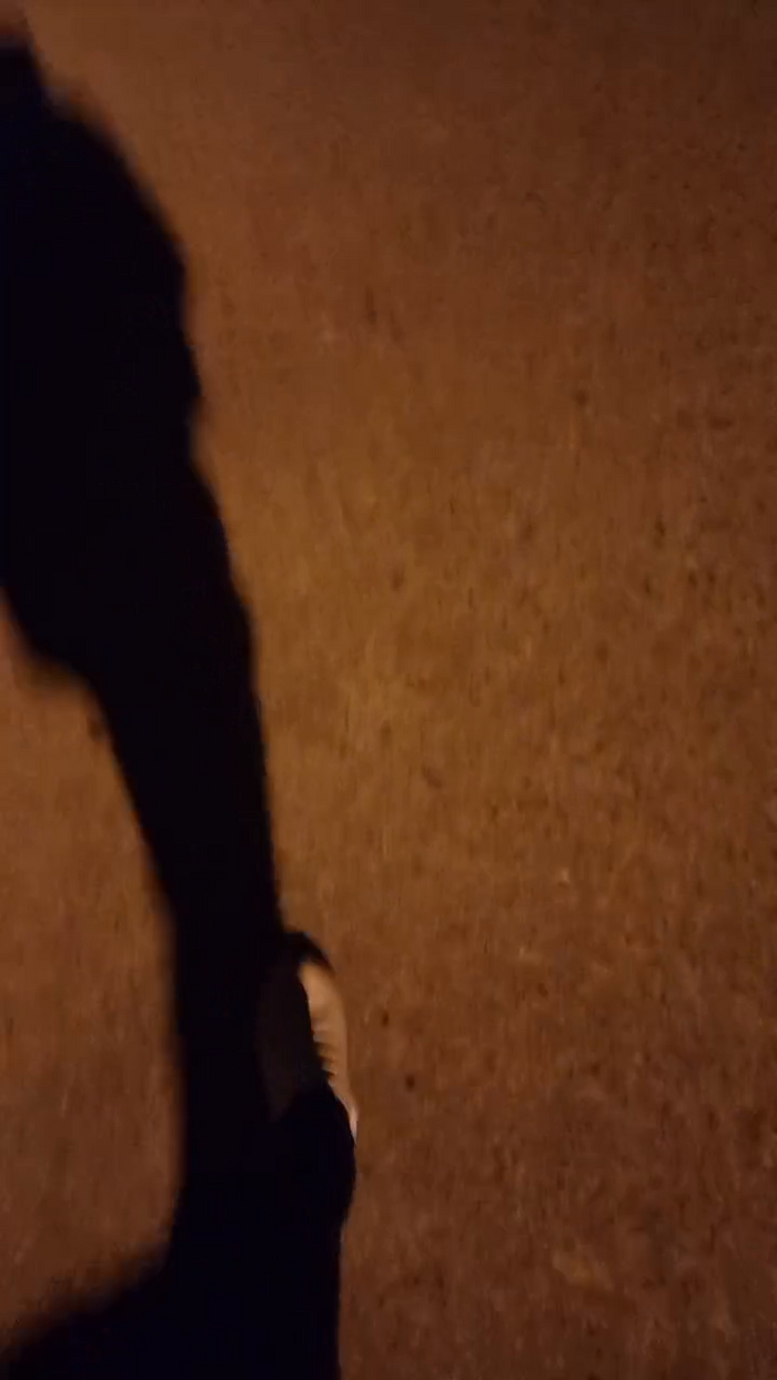 BlackCockBig19