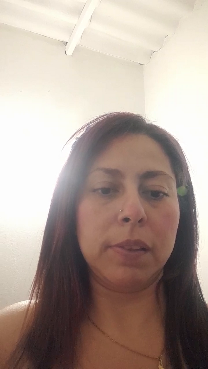 Gatitaardiente0