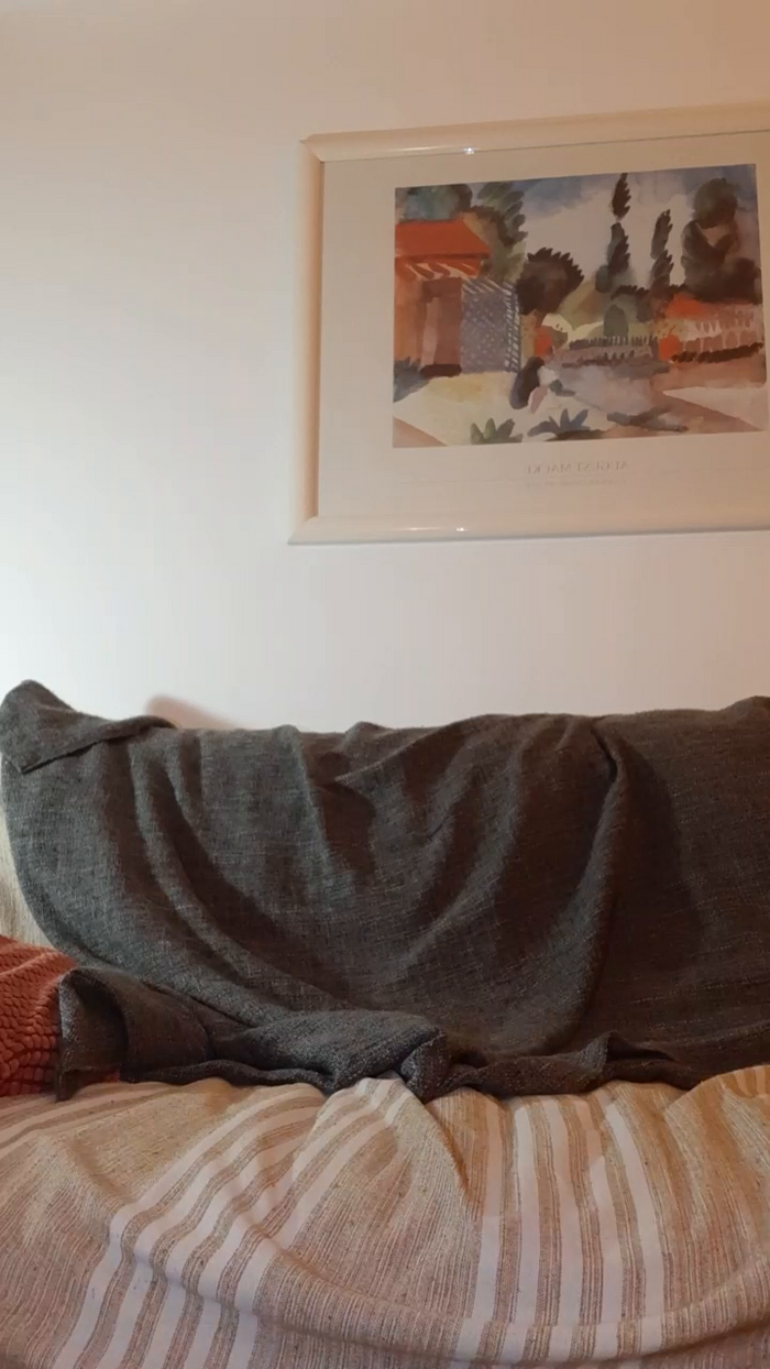 Mimidreve_