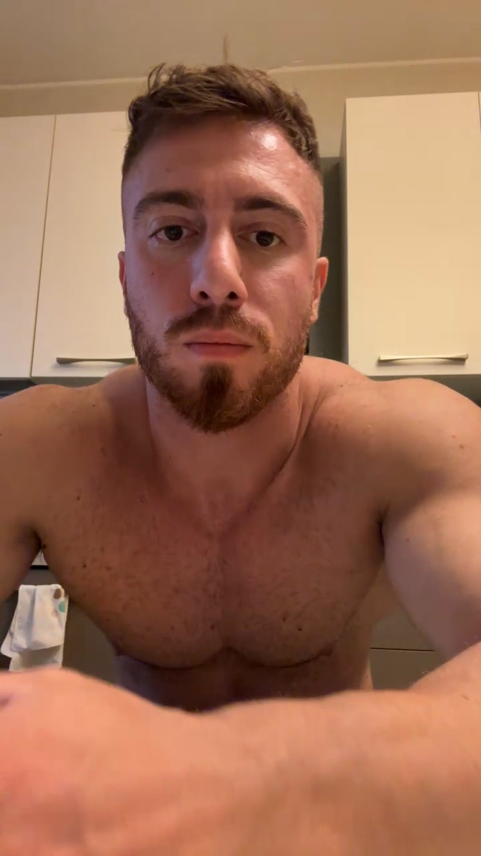 Bigwhitebull