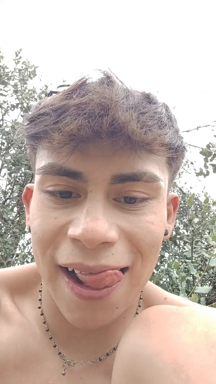 Bbfoxspain