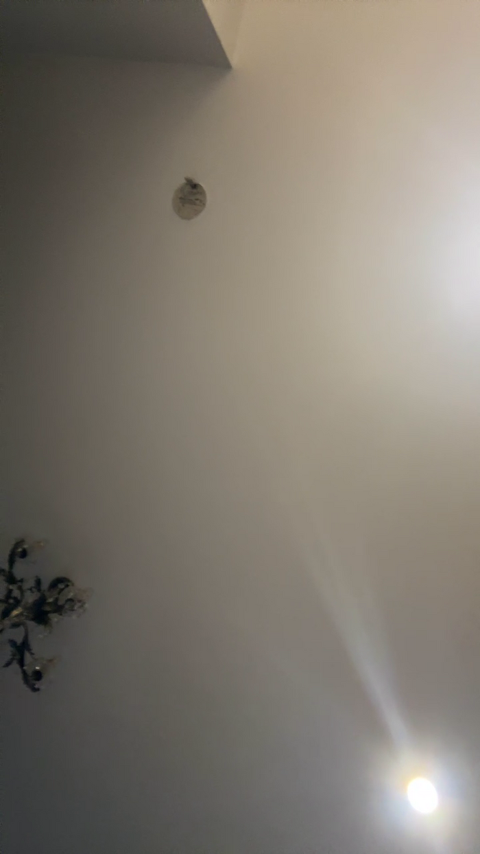 Mario84Luci