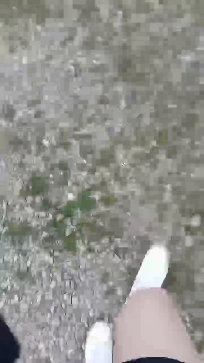 MELLB1