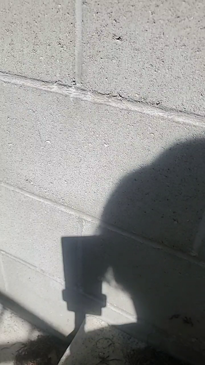 MIKitten