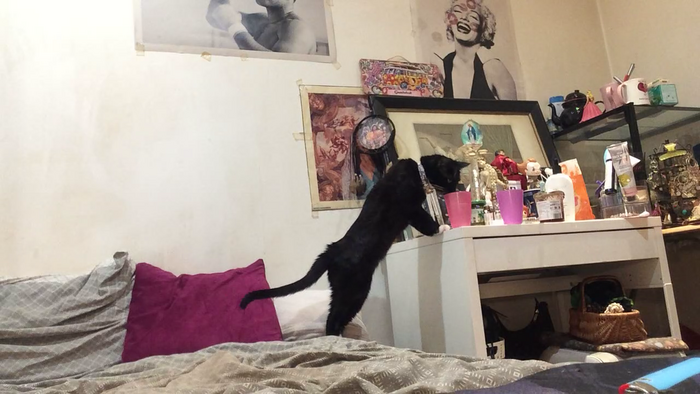 elleblue_sexy