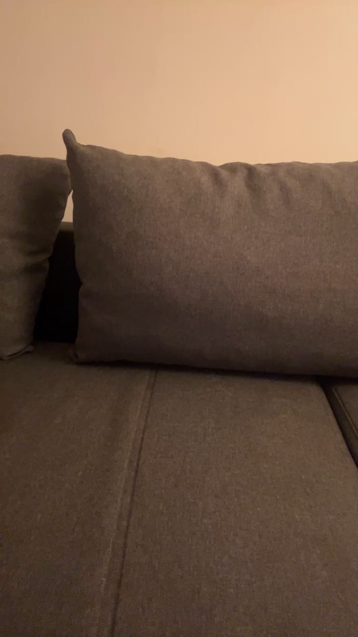 Melissasodomie