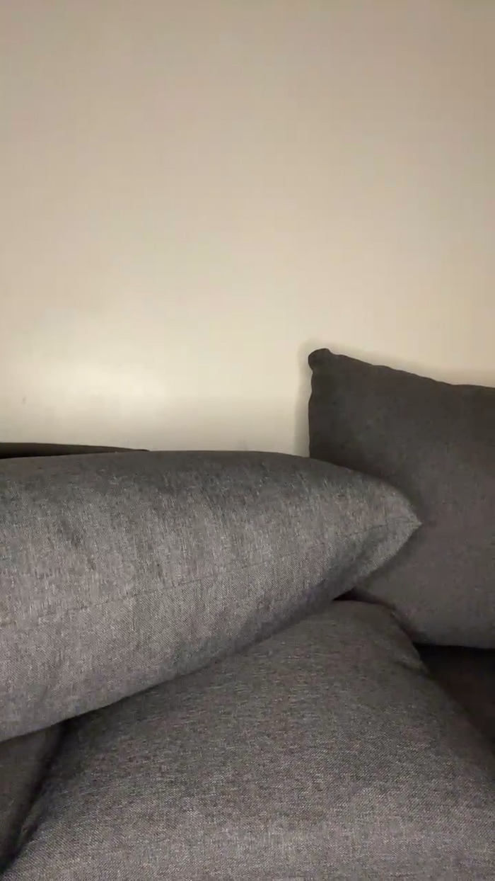 Melissasodomie