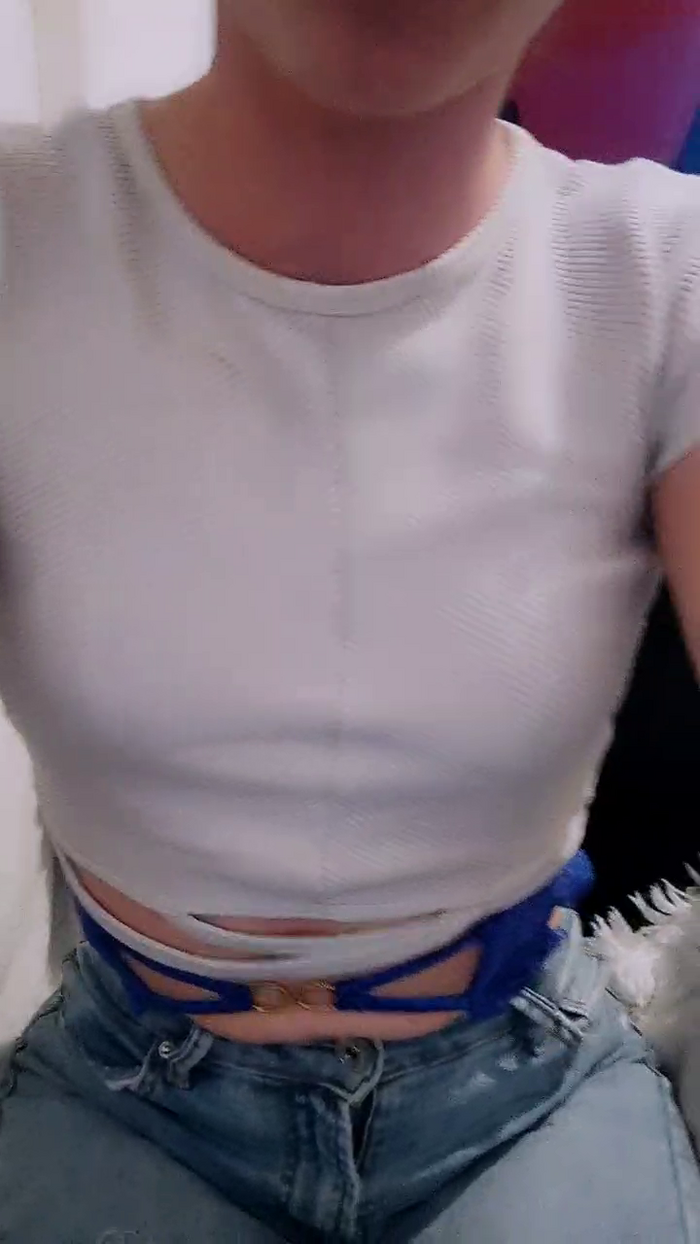 Queenmaive