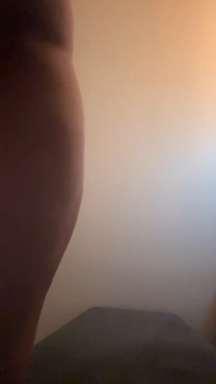 Melissasodomie