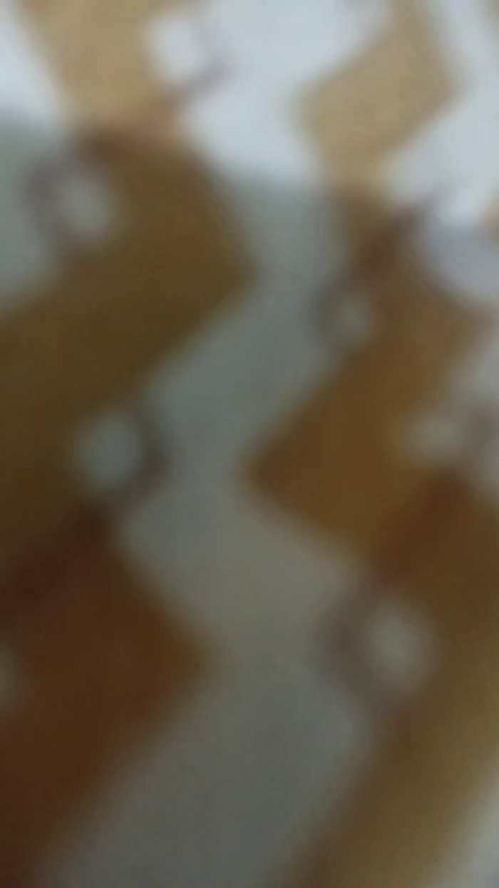 Rai008
