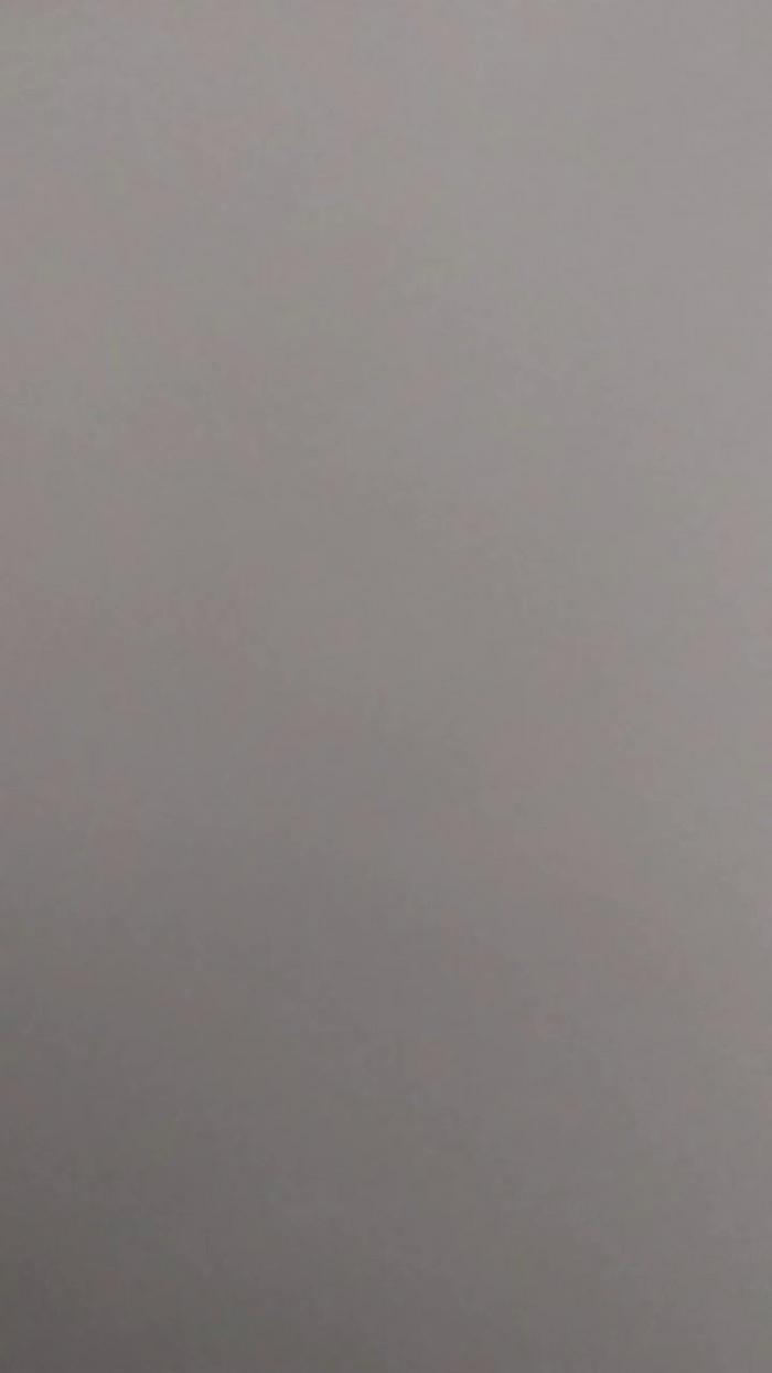 Rai008