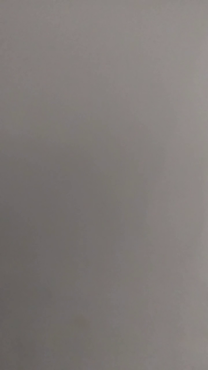 Rai008