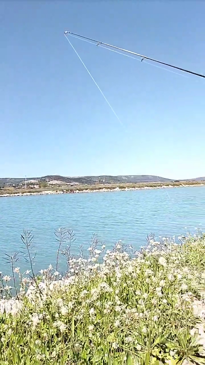 Doucelouve9