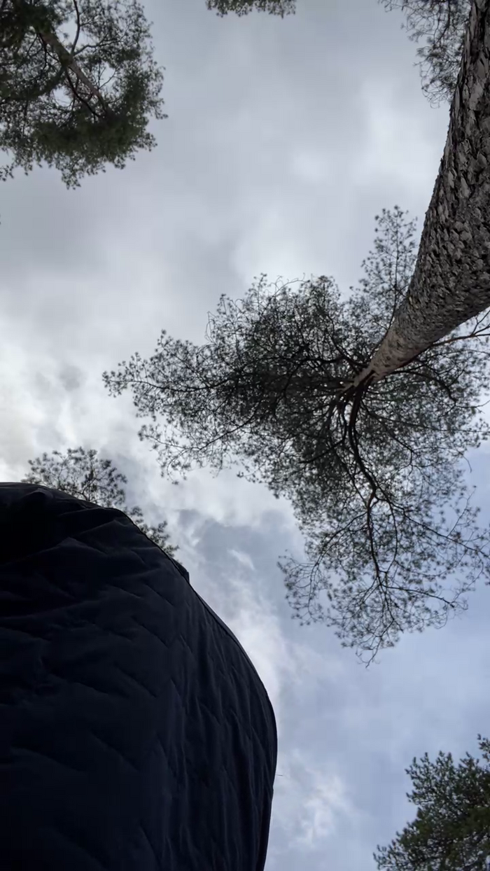 stefanoeverlan1