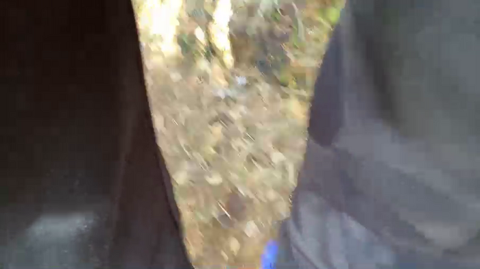stefanoeverlan1