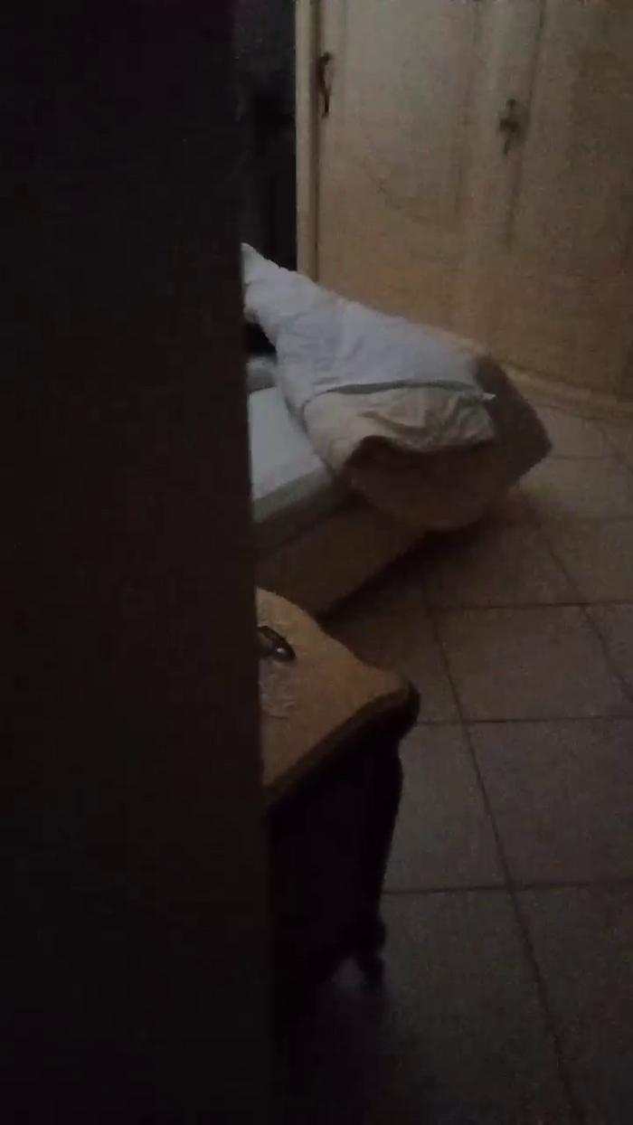 Divertiamoci86