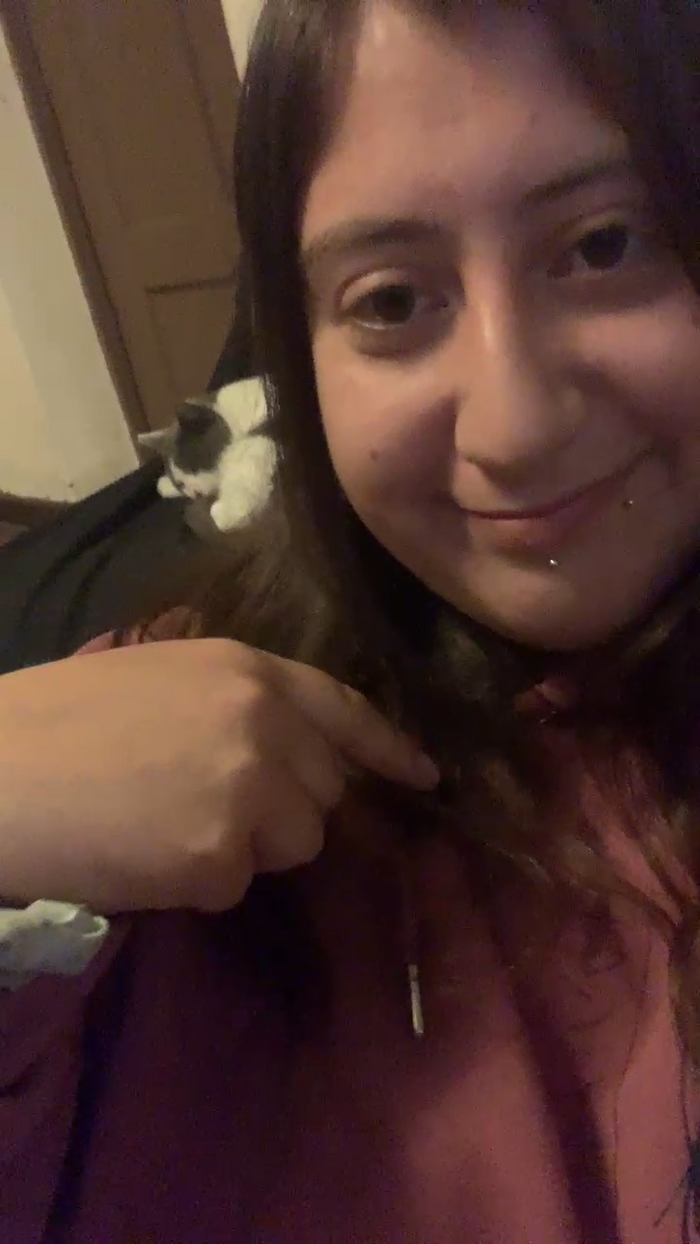 Gatamaldita