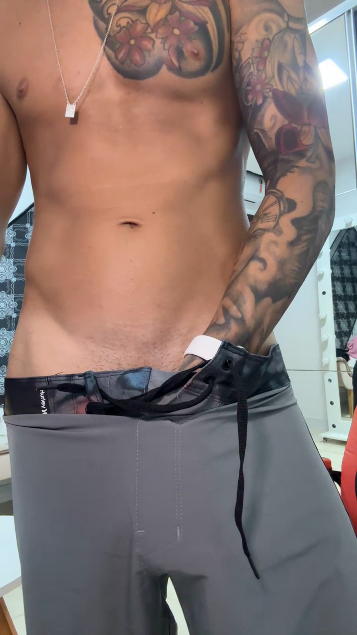 gato_dtado