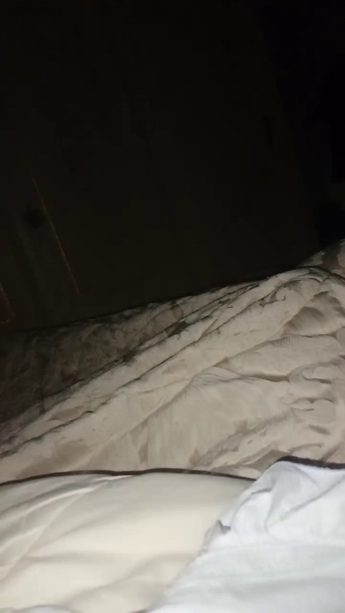 Divertiamoci86