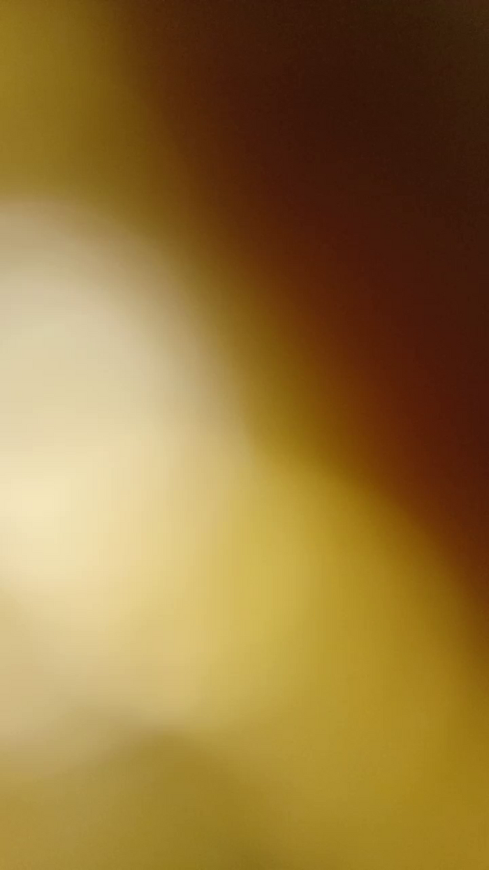 Divertiamoci86