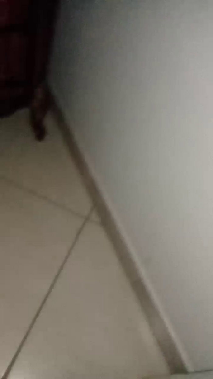 Divertiamoci86