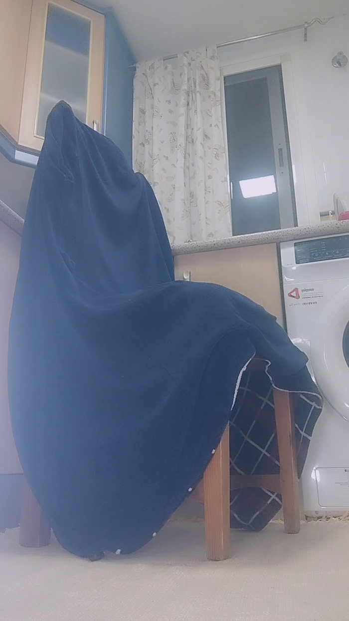 stefycamy