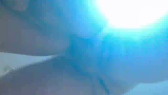 pollen_07