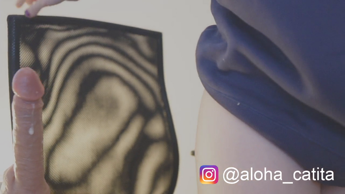 aloha_catita